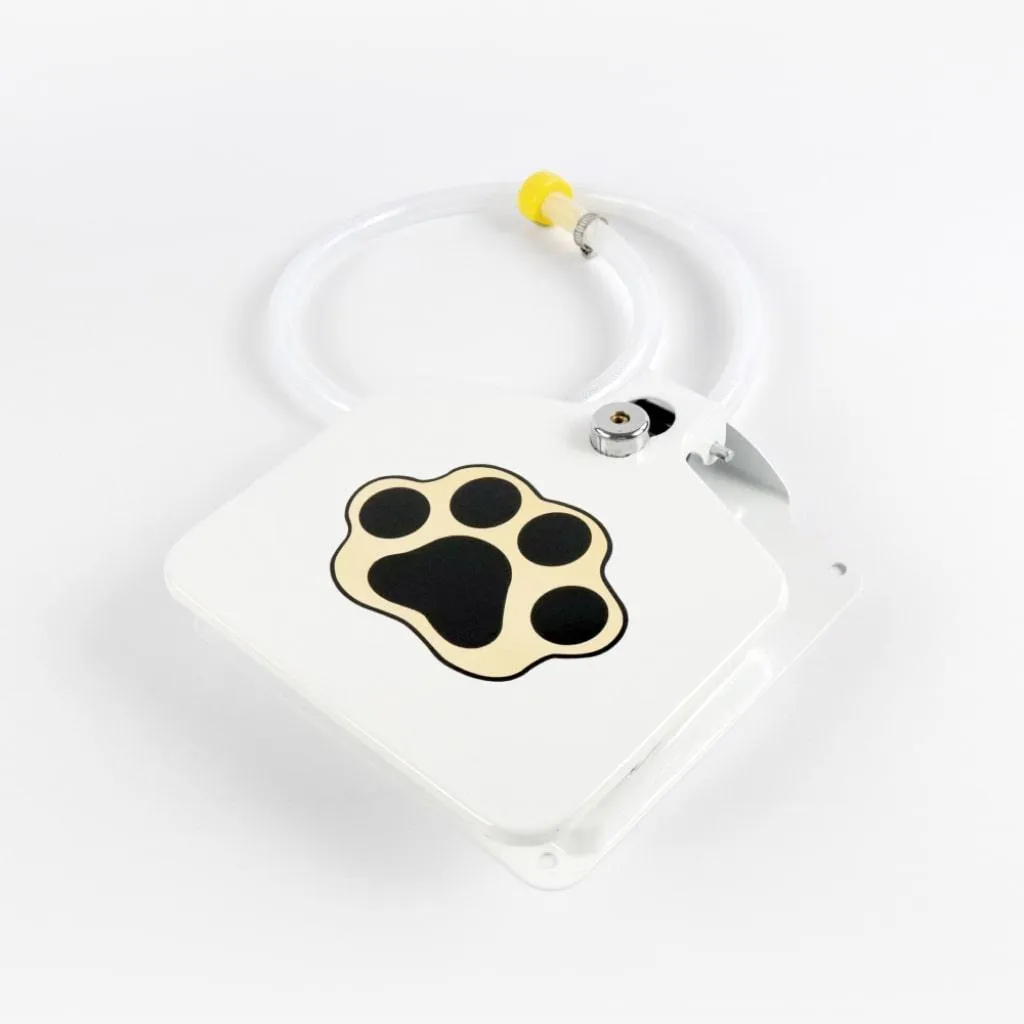 Automatic Outdoor Dog Water Fountain