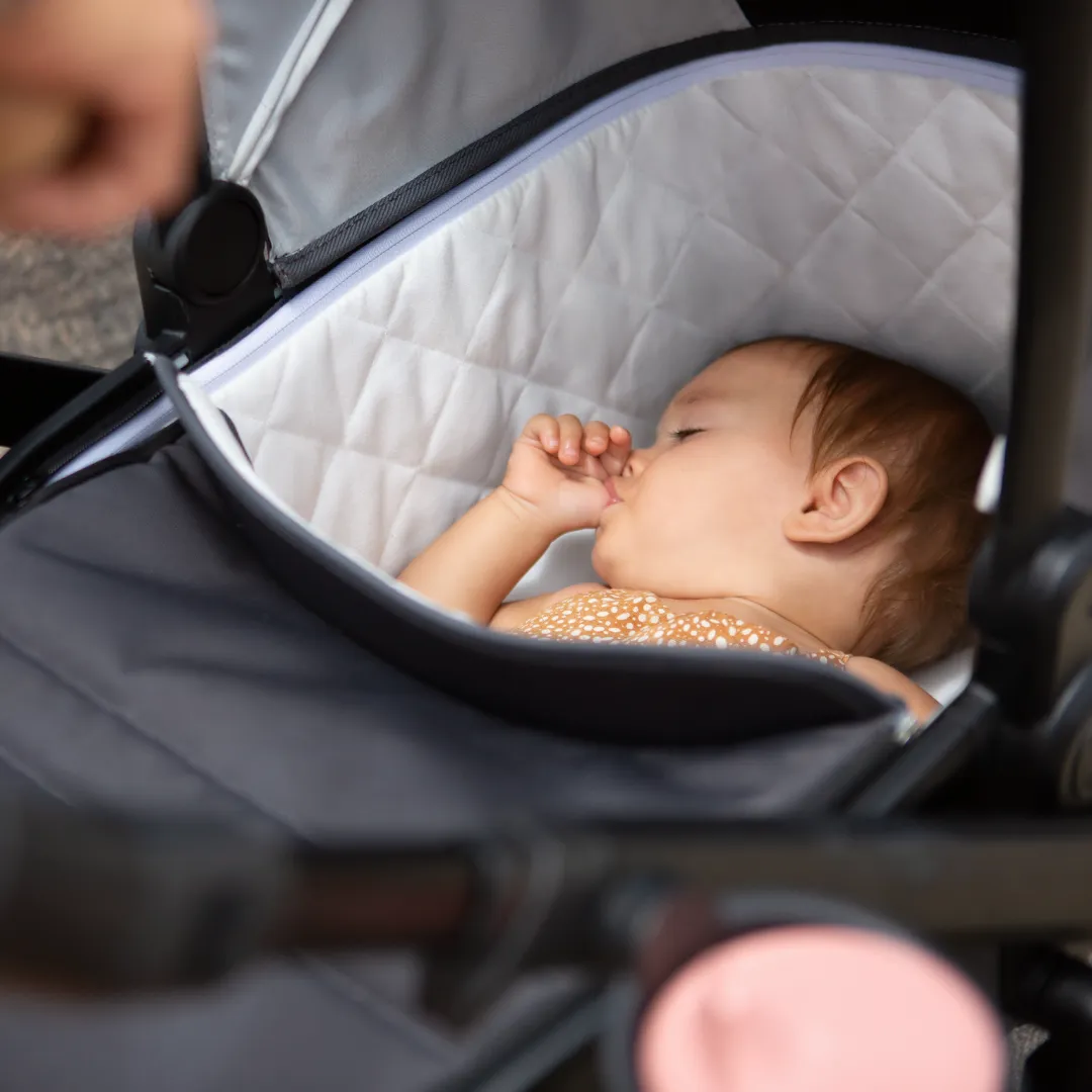 Bassinet for Switchback - Granite Grey by Veer