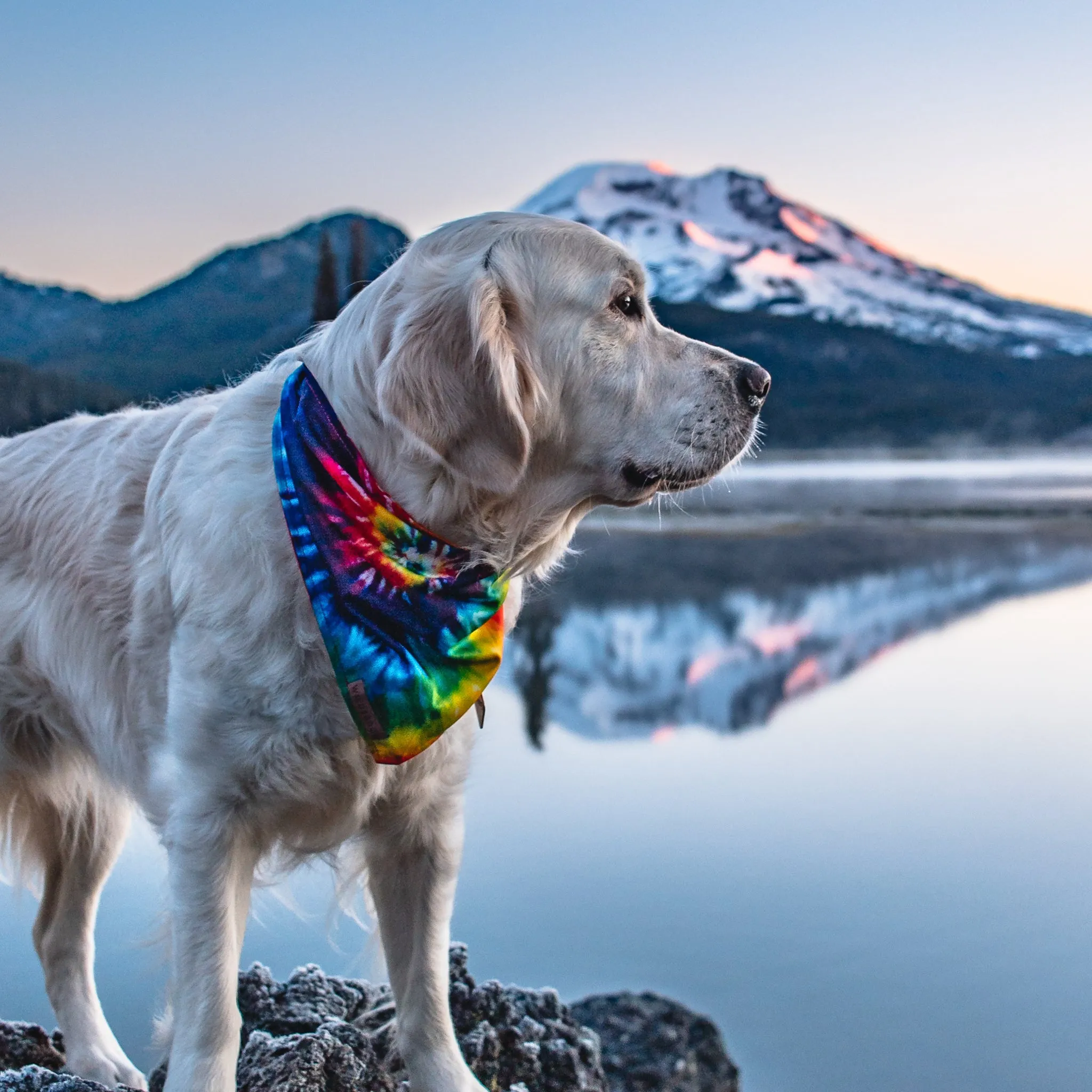 Tiedye Bandana